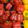 W szczególności uznaje się, iż dieta zawierająca karotenoidy plamkowe pełni istotną rolę w zapobieganiu wystąpienia upośledzającego widzenie AMD