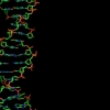 A positive family history of AMD increases your risk of developing AMD threefold.
